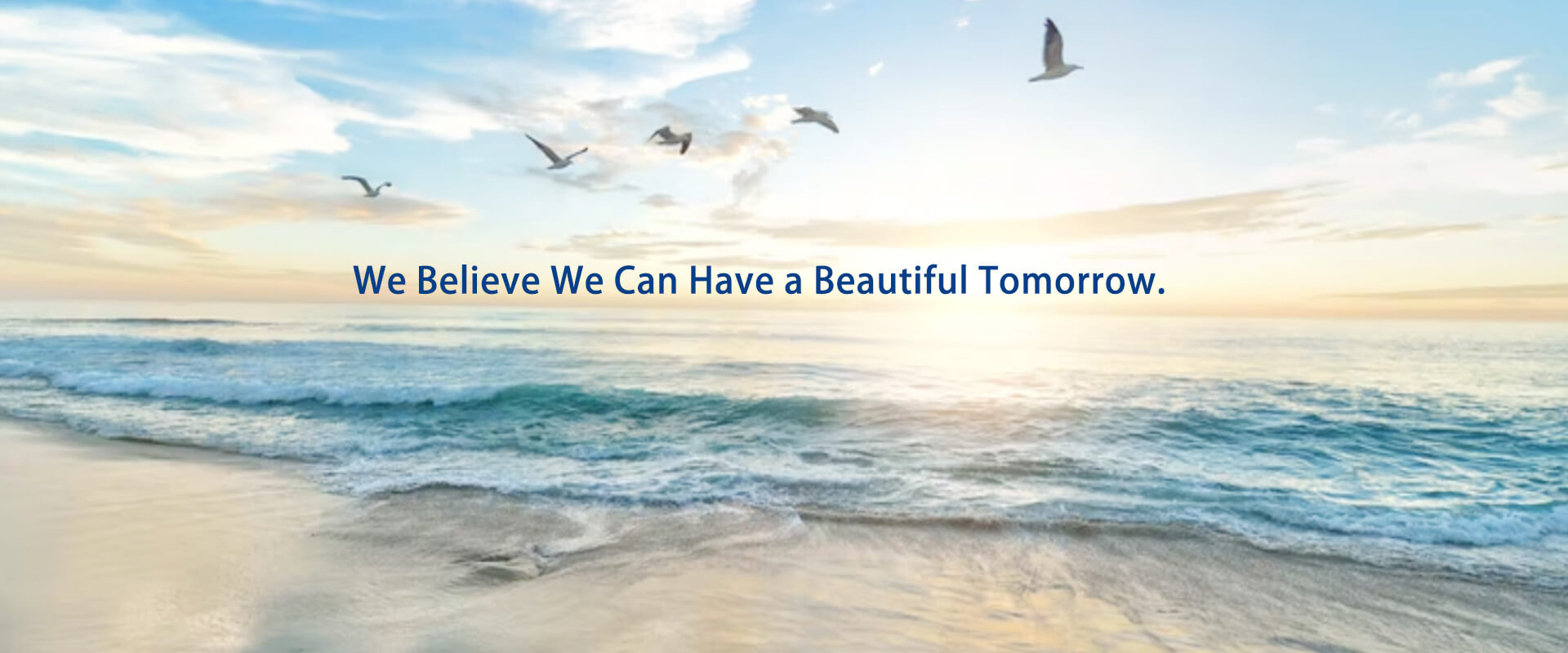 We Believe We Can Have a Beautiful Tomorrow.