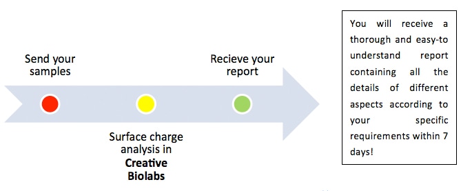 Analytical Methods Development for Validation-surface charge analysis