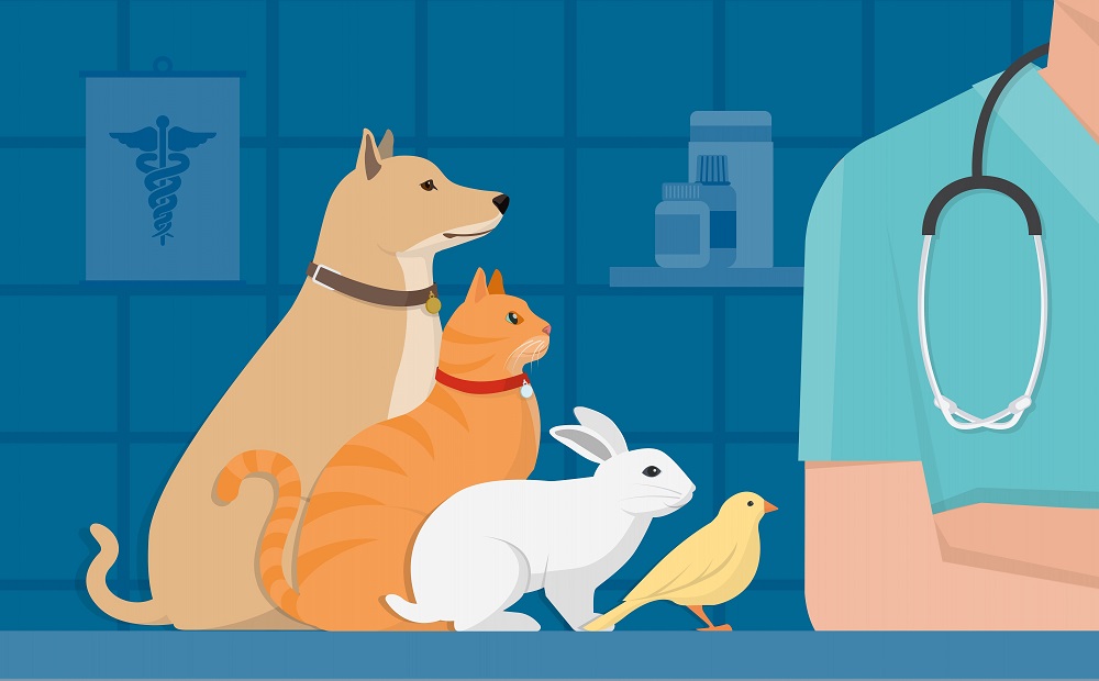 Animal Health Improvement (Creative Biolabs Authorized)