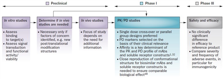 Antibody Biosimilar Stable Cell Lines