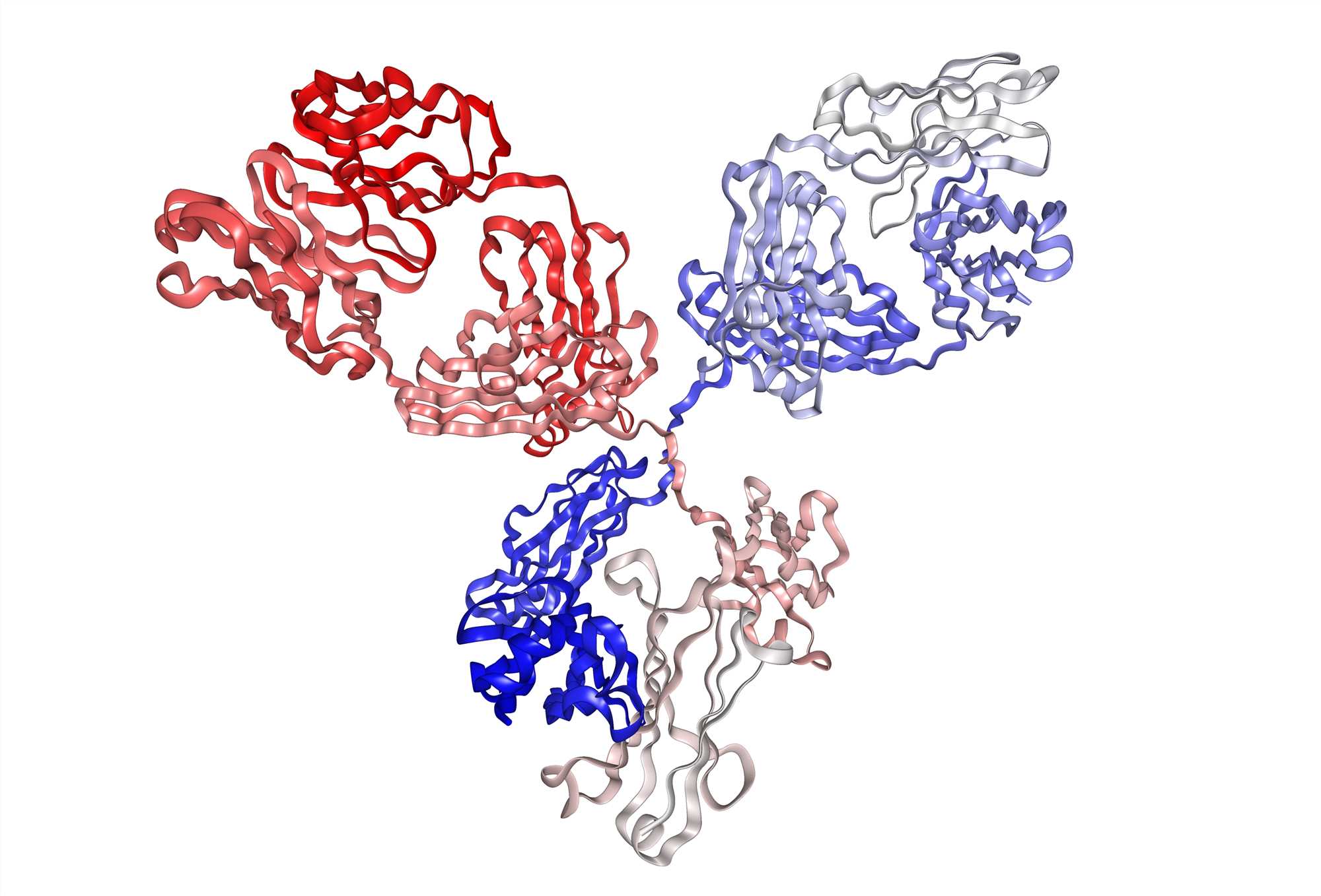 IgG mAb structure. (Creative Biolabs Authorized)
