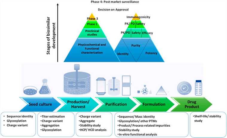 Fig.1 Bioprocess train with multiple stages of development during biosimilar manufacturing.