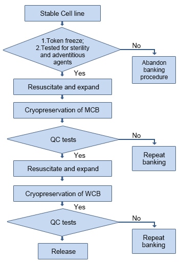 Cell Structure Flow Chart