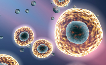 Manufacture Stable Cell Line (Creative Biolabs Authorized)