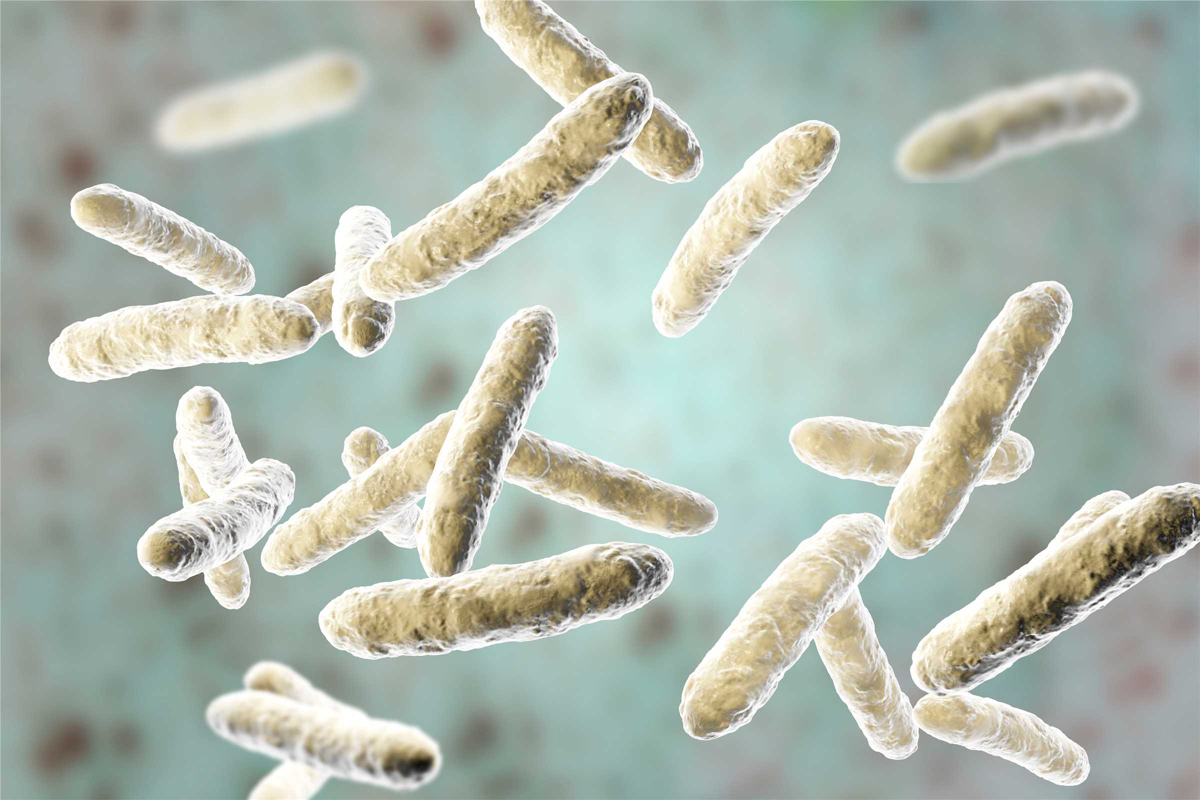 Microbial cell lines. (Creative Biolabs Original)