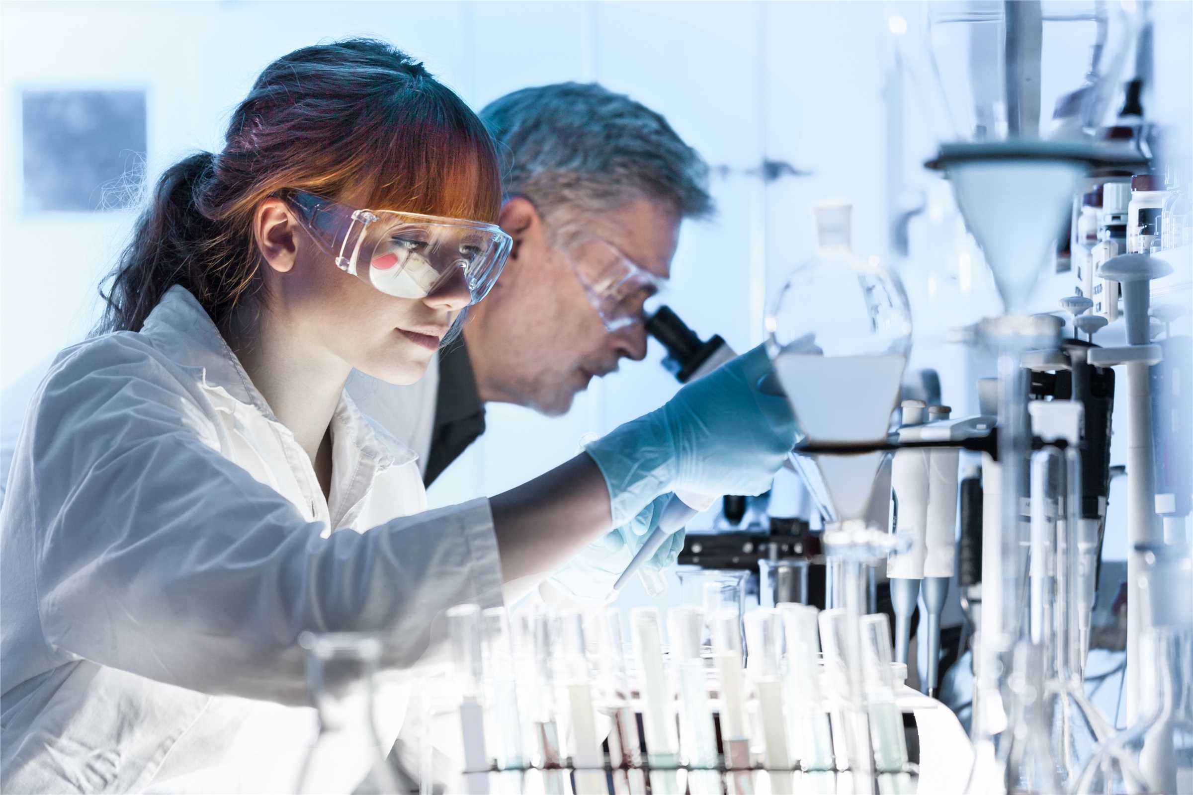 Process validation. (Creative Biolabs Original)