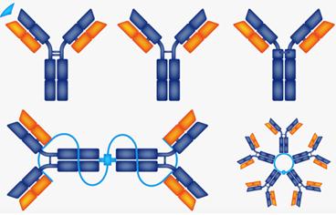 Creative Biolabs