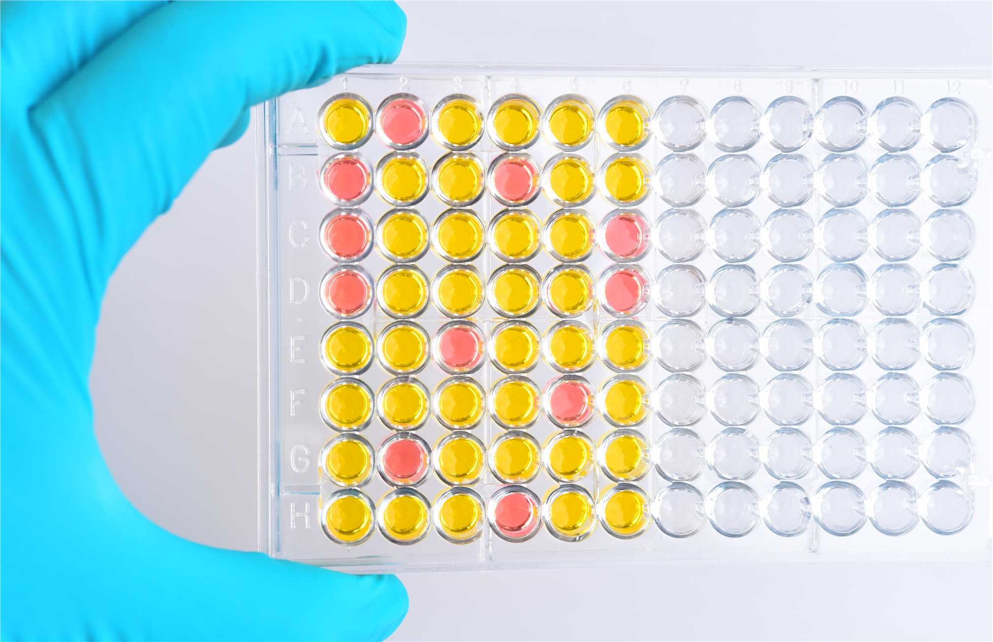 QC. (Creative Biolabs Original)