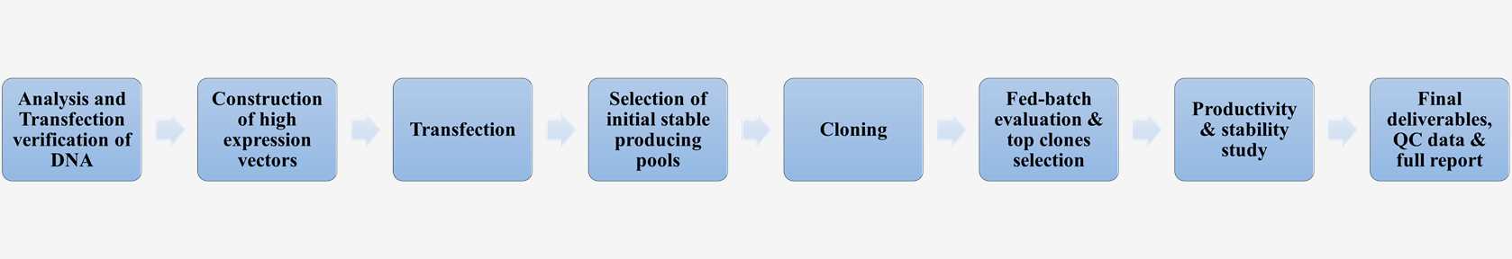 Stable cell line construction Procss