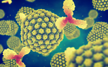 Therapeutic mAb Manufacturing (Creative Biolabs Authorized)