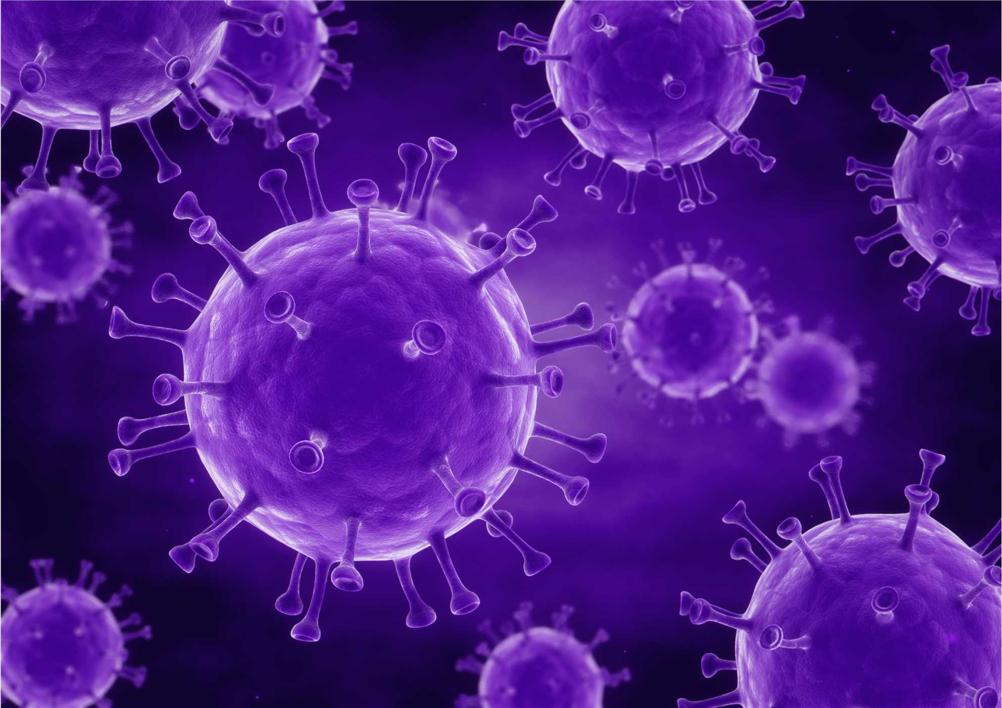 Virus. (Creative Biolabs Original)
