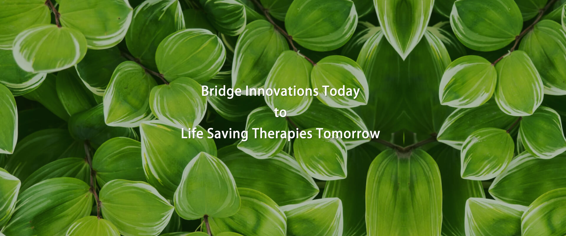 Bridge Innovations Today to Life Saving Therapies Tomorrow