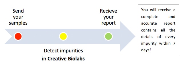 Analytical Methods Development for Validation-purity analysis